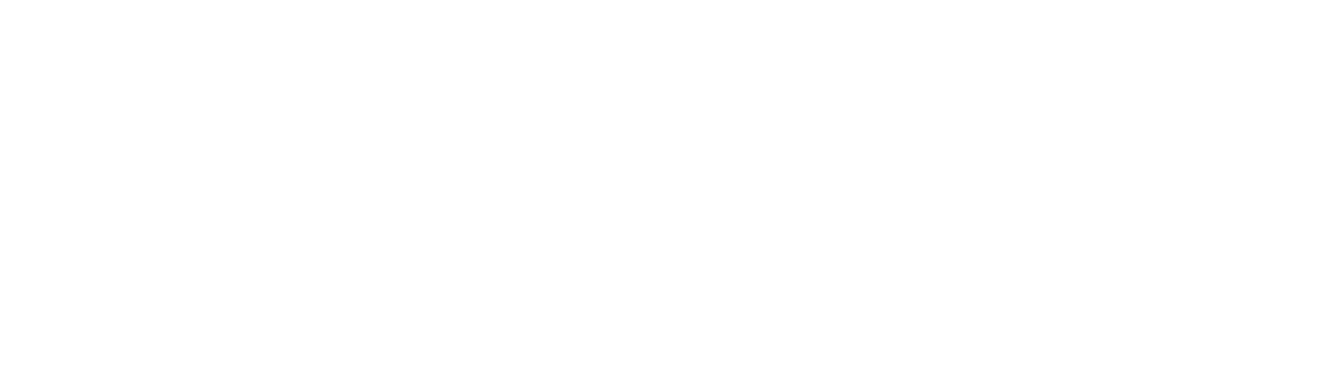 BDR Kontrol Logo